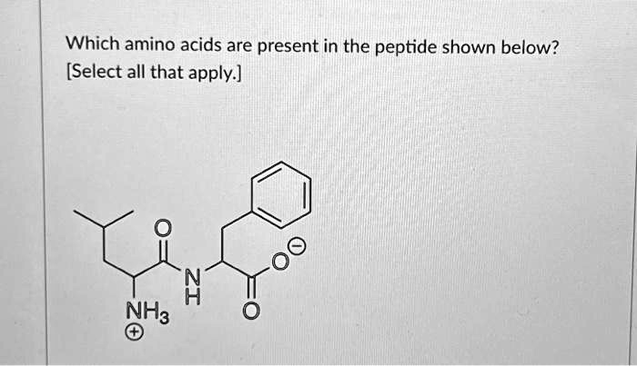 SOLVED: Which amino acids are present in the peptide shown below ...