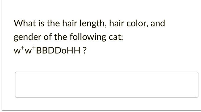 What is the hair length, hair color, and
gender of the following cat:
w+w+BBDDoHH ?