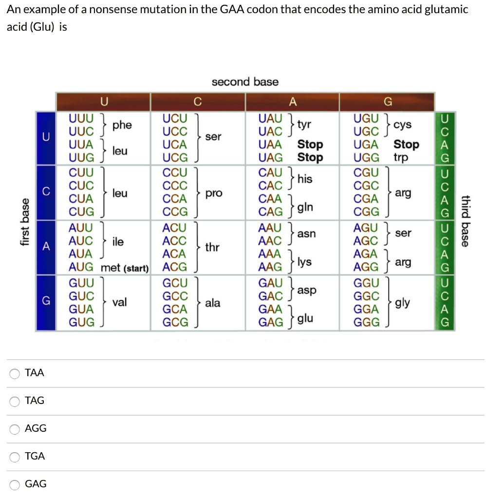 SOLVED: An example of a nonsense mutation in the GAA codon that encodes ...