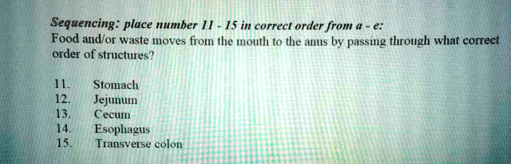Sequencing: place number 11 - 15 in correct order from a - e: Food and/or waste moves from the mouth to the anus by passing through what correct order of structures?

11. Stomach
12. Jejunum
13. Cecum
14. Esophagus
15. Transverse colon