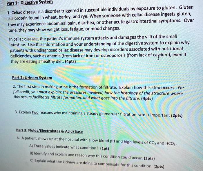 Part 1: Digestive System 1. Celiac disease is a disorder triggered in susceptible individuals by exposure to gluten. Gluten is a protein found in wheat, barley, and rye. When someone with celiac disease ingests gluten, they may experience abdominal pain, diarrhea, or other acute gastrointestinal symptoms. Over time, they may show weight loss, fatigue, or mood changes. In celiac disease, the patient's immune system attacks and damages the villi of the small intestine. Use this information and your understanding of the digestive system to explain why patients with undiagnosed celiac disease may develop disorders associated with nutritional deficiencies, such as anemia (from lack of iron) or osteoporosis (from lack of calcium), even if they are eating a healthy diet. (4pts) Part 2: Urinary System 2. The first step in making urine is the formation of filtrate. Explain how this step occurs. For full credit, you must explain: the pressures involved, how the histology of the structure where this occurs facilitates filtrate formation, and what goes into the filtrate. (4pts) 3. Explain two reasons why maintaining a steady glomerular filtration rate is important (2pts) Part 3: Fluids/Electrolytes     Acid/Base 4. A patient shows up at the hospital with a low blood pH and high levels of CO2 and HCO3-. A) These values indicate what condition? (1pt) B) Identify and explain one reason why this condition could occur. (2pts) C) Explain what the kidneys are doing to compensate for this condition. (2pts)