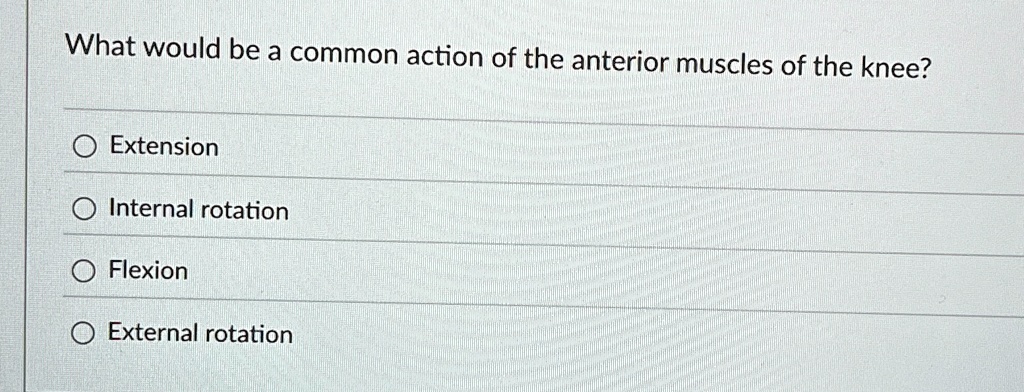 What would be a common action of the anterior muscles of the knee ...