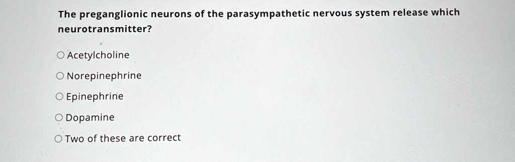 Which Of The Following Releases The Neurotransmitter Norepinephrine The preganglionic neurons of the parasympathetic nervous system release