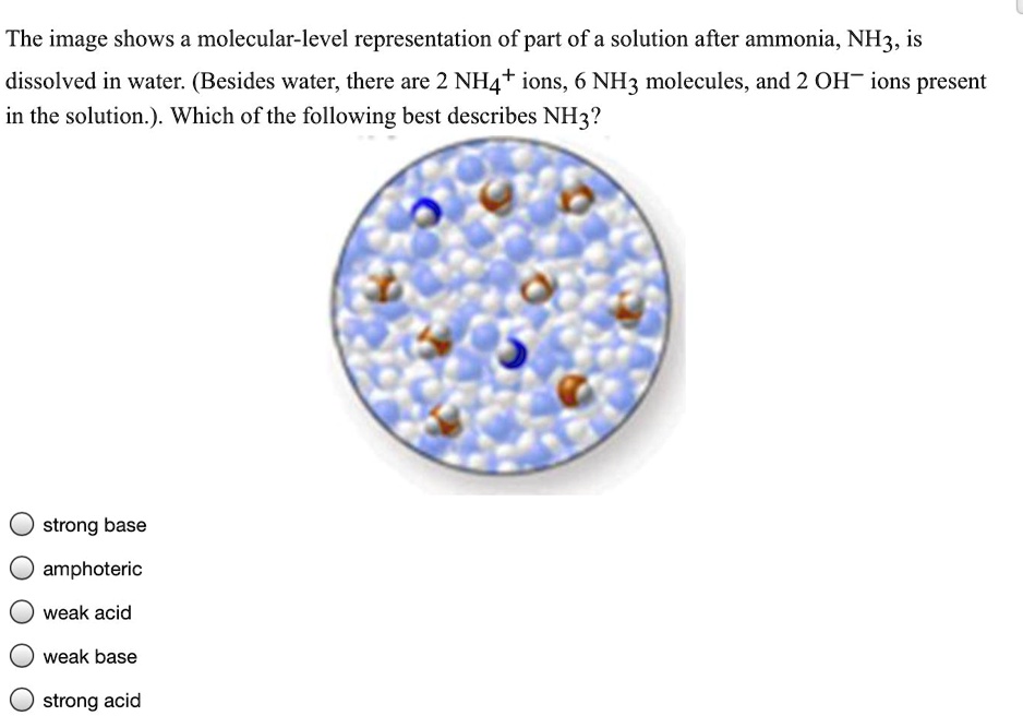 SOLVED: The image shows a molecular-level representation of part of a ...