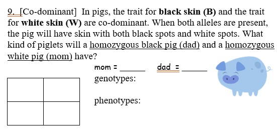 9. [Co-dominant] In pigs, the trait for black skin (B) and the trait
for white skin (W) are co-dominant. When both alleles are present,
the pig will have skin with both black spots and white spots. What
kind of piglets will a homozygous black pig (dad) and a homozygous
white pig (mom) have?
mom =  dad = 
genotypes:
phenotypes: