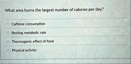 what area burns the largest number of calories per day caffeine consumption resting metabolic rate thermogenic effect of food physical activity 02926