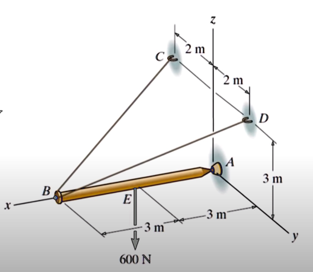 SOLVED: If rod AB is in static equilibrium, determine the support ...