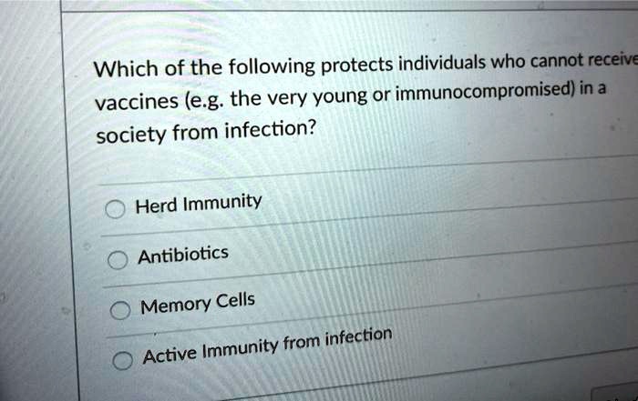 Which of the following protects individuals who cannot receive vaccines (e.g. the very young or immunocompromised) in a society from infection?

Herd Immunity
Antibiotics
Memory Cells
Active Immunity from infection