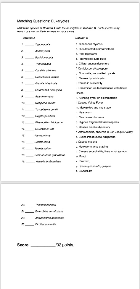 SOLVED: Matching Questions: Eukaryotes Match the species in Column A ...