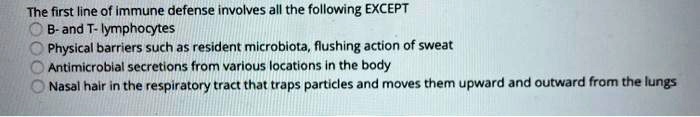 The first line of immune defense involves all the following EXCEPT
B- and T-lymphocytes
Physical barriers such as resident microbiota, flushing action of sweat
Antimicrobial secretions from various locations in the body
Nasal hair in the respiratory tract that traps particles and moves them upward and outward from the lungs