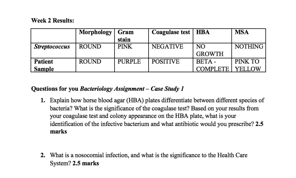 Week 2 Results:

| | Morphology | Gram stain | Coagulase test | HBA | MSA |
| :— | :— | :— | :— | :— | :— |
| Streptococcus | ROUND | PINK | NEGATIVE | NO GROWTH | NOTHING |
| Patient Sample | ROUND | PURPLE | POSITIVE | BETA - COMPLETE | PINK TO YELLOW |

Questions for you Bacteriology Assignment – Case Study 1

1. Explain how horse blood agar (HBA) plates differentiate between different species of bacteria? What is the significance of the coagulase test? Based on your results from your coagulase test and colony appearance on the HBA plate, what is your identification of the infective bacterium and what antibiotic would you prescribe? 2.5 marks

2. What is a nosocomial infection, and what is the significance to the Health Care System? 2.5 marks