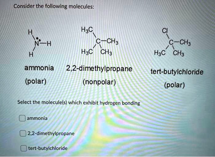 Solved Consider The Following Molecules H3c C Ch3 H3c Ch3 C Ch3 H3c Ch3 Ammonia 22 4699