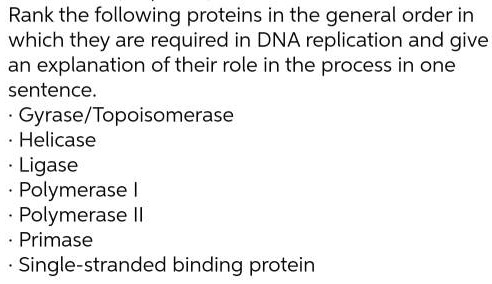 Rank the following proteins in the general order in which they are required in DNA replication and give an explanation of their role in the process in one sentence.
· Gyrase/Topoisomerase
· Helicase
· Ligase
· Polymerase I
· Polymerase II
· Primase
· Single-stranded binding protein