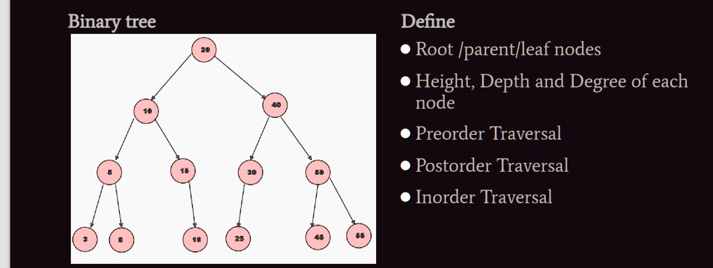 SOLVED: Binary tree Define Root /parent/leaf nodes Height, Depth and ...