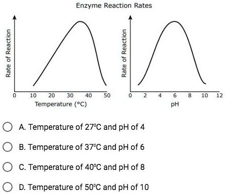 Enzyme Reaction Rates Rate of Reaction 0 10 20 30 40 50 Temperature (°C ...