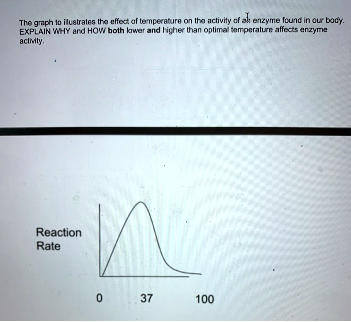 SOLVED The graph to illustrates the effect of temperature on the