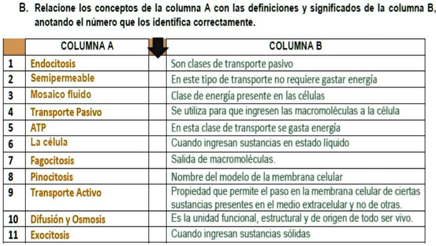 SOLVED: Ayudaaa Porfa Doy Coronita B. Relacione Los Conceptos De La ...