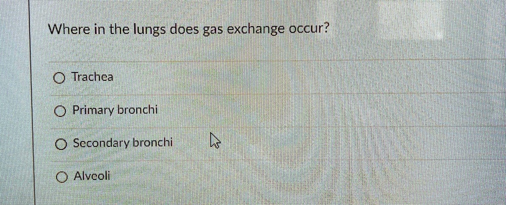 SOLVED: Where in the lungs does gas exchange occur? Trachea Primary ...