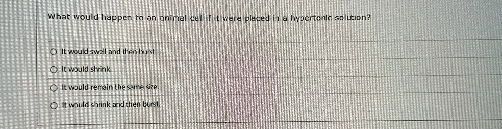 What would happen to an animal cell if it were placed in a hypertonic solution?
It would swell and then burst.
It would shrink.
It would remain the same size.
It would shrink and then burst.
