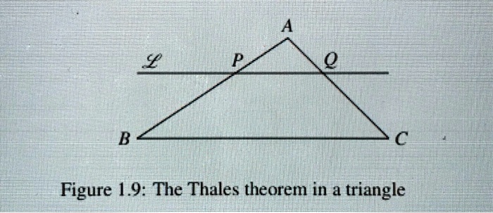 15 figure 19 the thales theorem in triangle 88196