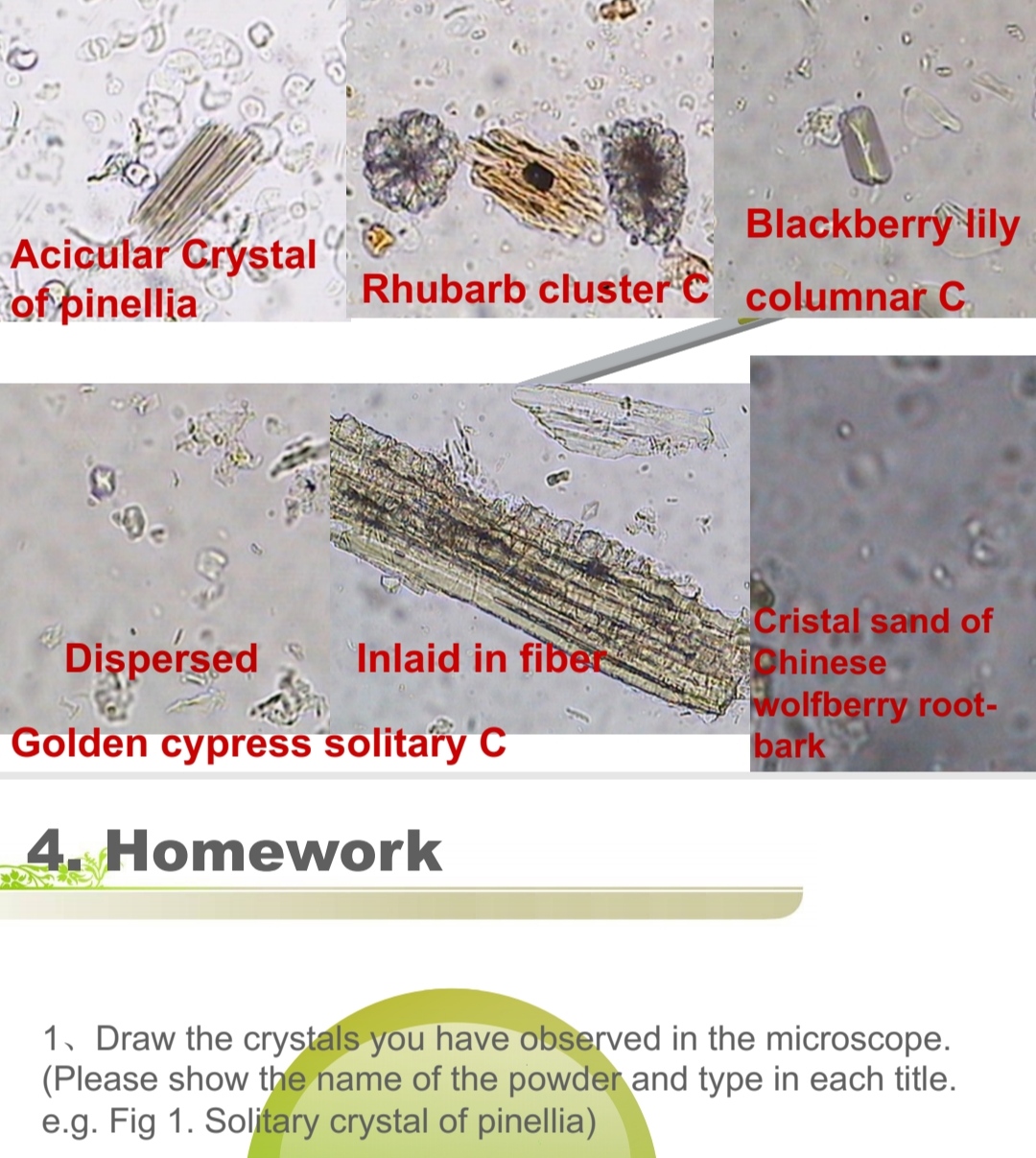 SOLVED: Blackberrytily 4-Homework 1?Draw the crystals you have observed ...