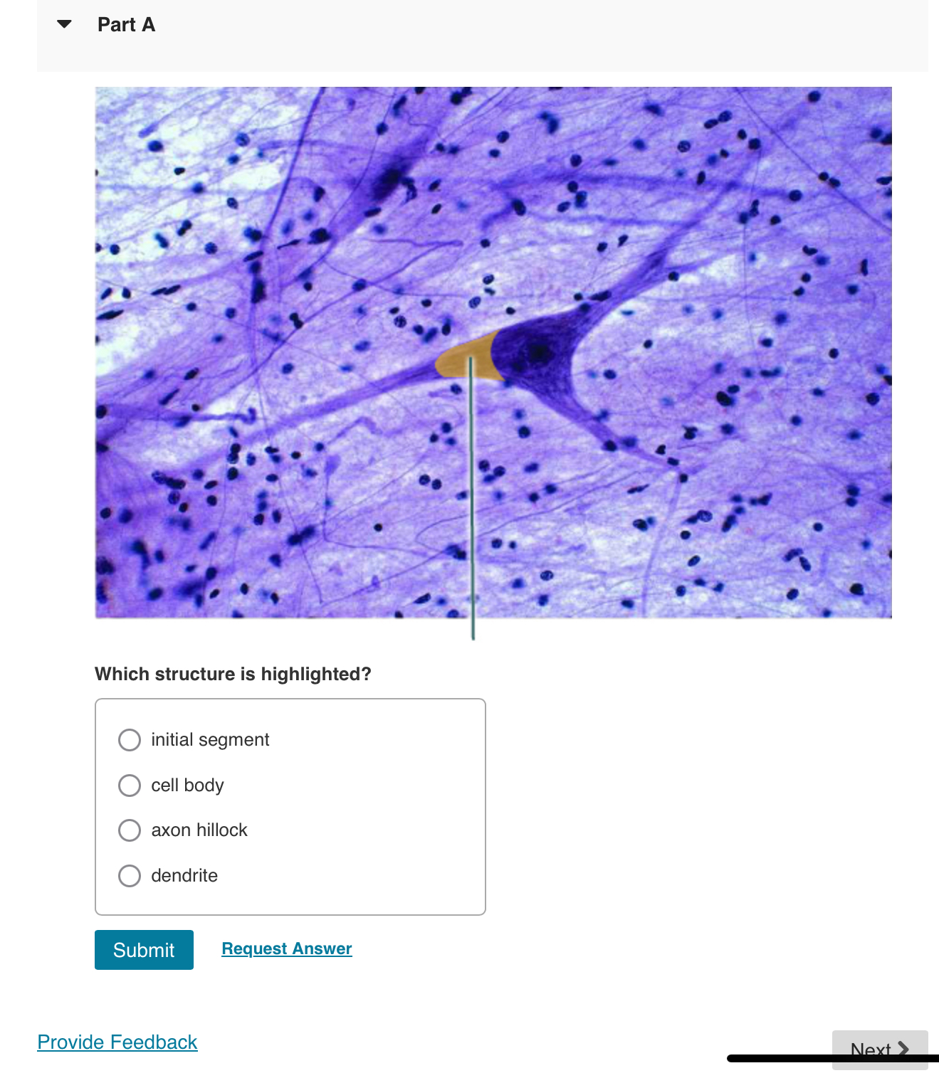 part a which structure is highlighted initial segment cell body axon ...