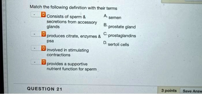 THE PROSTATE GLAND PRODUCES SPERM TRUE FALSE visual data 8