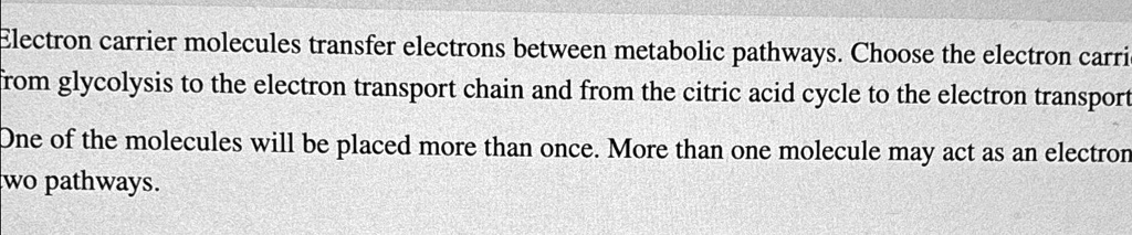 Electron carrier molecules transfer electrons between metabolic ...