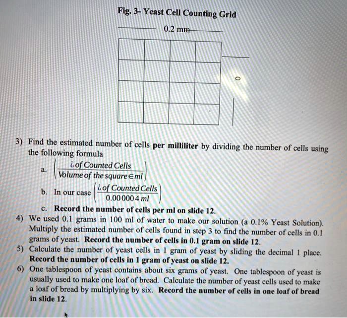 SOLVED Fig 3 Yeast Cell Counting Grid 0.2 mm Find the estimated
