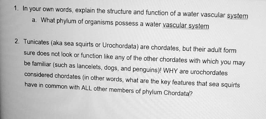 SOLVED: In your own words, explain the structure and function of a