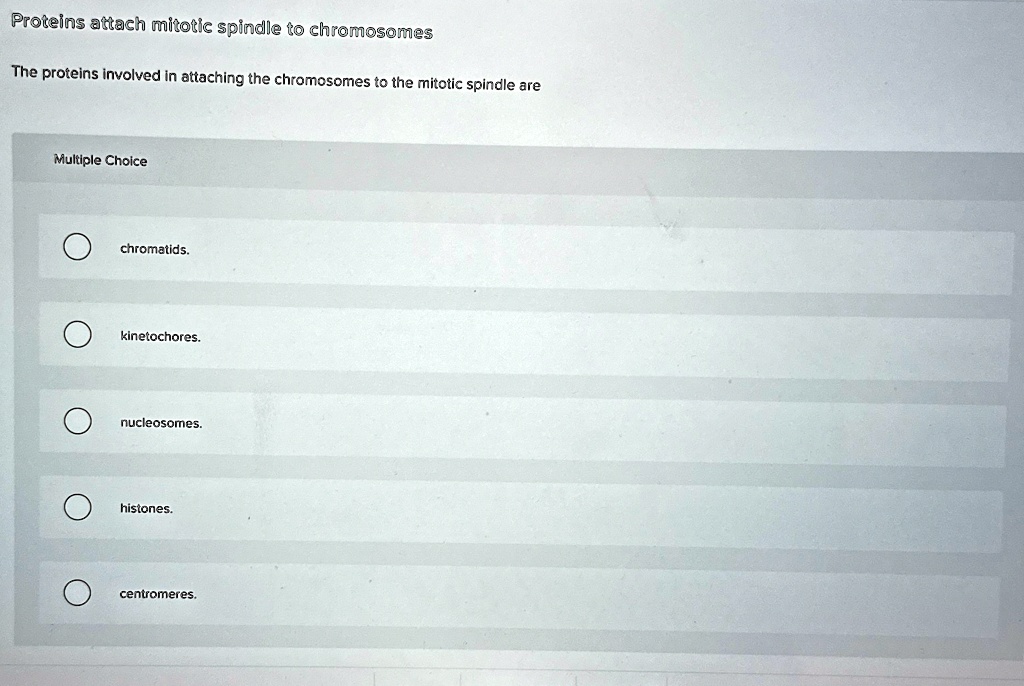 Proteins attach mitotic spindle to chromosomes
The proteins involved in attaching the chromosomes to the mitotic spindle are
Multiple Choice
chromatids.
kinetochores.
nucleosomes.
histones.
centromeres.