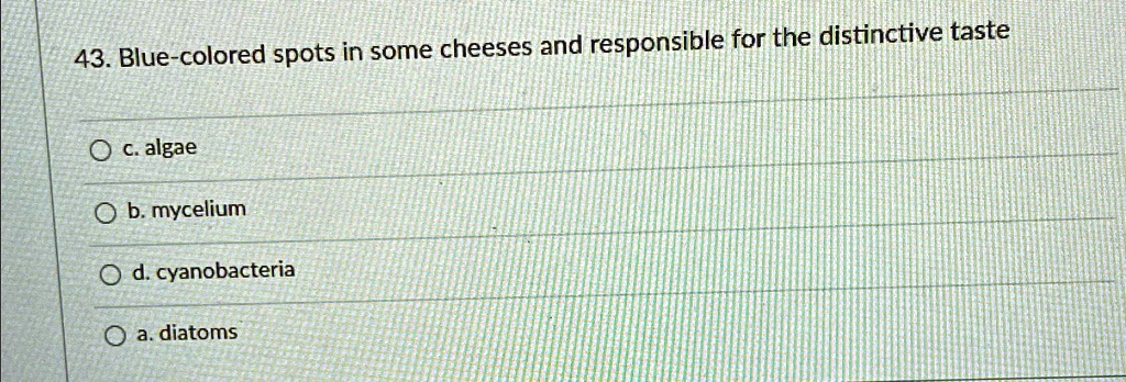 43. Blue-colored spots in some cheeses and responsible for the distinctive taste
c. algae
b. mycelium
d. cyanobacteria
a. diatoms