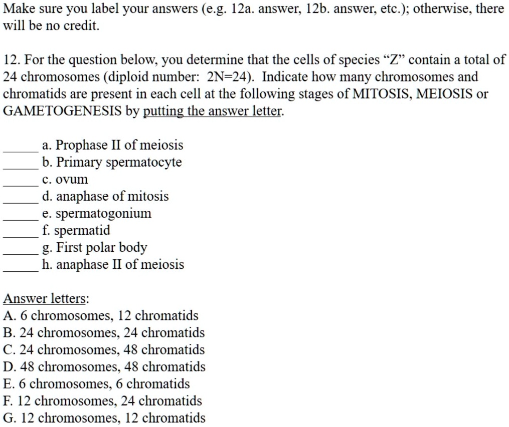 Make sure you label your answers (e.g. 12a. answer, 12b. answer, etc.); otherwise, there will be no credit.
12. For the question below, you determine that the cells of species "Z" contain a total of 24 chromosomes (diploid number: 2N=24). Indicate how many chromosomes and chromatids are present in each cell at the following stages of MITOSIS, MEIOSIS or GAMETOGENESIS by putting the answer letter.
a. Prophase II of meiosis
b. Primary spermatocyte
c. ovum
d. anaphase of mitosis
e. spermatogonium
f. spermatid
g. First polar body
h. anaphase II of meiosis
Answer letters:
A. 6 chromosomes, 12 chromatids
B. 24 chromosomes, 24 chromatids
C. 24 chromosomes, 48 chromatids
D. 48 chromosomes, 48 chromatids
E. 6 chromosomes, 6 chromatids
F. 12 chromosomes, 24 chromatids
G. 12 chromosomes, 12 chromatids