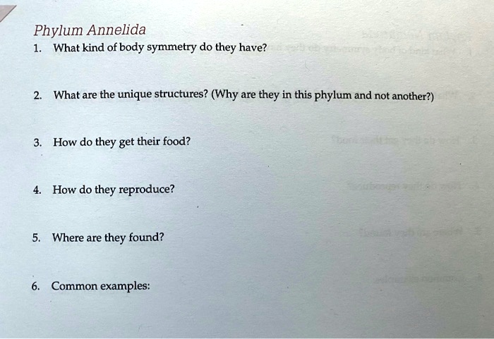Phylum Annelida
1. What kind of body symmetry do they have?
2. What are the unique structures? (Why are they in this phylum and not another?)
3. How do they get their food?
4. How do they reproduce?
5. Where are they found?
6. Common examples: