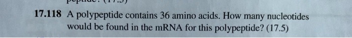 A polypeptide contains 36 amino acids. How many nucleotides would be found in the mRNA for this polypeptide?