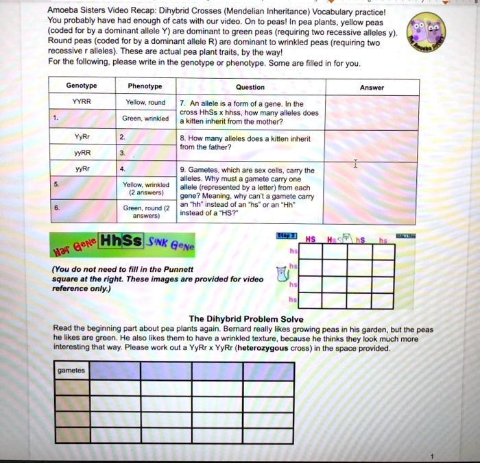 Dihybrid Cross Worksheet Answer Key Worksheets For Kindergarten 