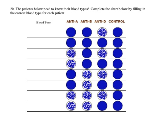 SOLVED: The Patients Below Need To Know Their Blood Types. Complete The ...