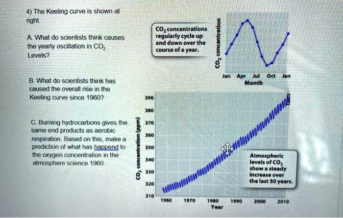 4) The Keeling curve is shown at right.

A. What do scientists think causes the yearly oscillation in CO2 Levels?

B. What do scientists think has caused the overall rise in the Keeling curve since 1960?

C. Burning hydrocarbons gives the same end products as aerobic respiration. Based on this, make a prediction of what has happend to the oxygen concentration in the atmosphere since 1960.

CO2 concentrations regularly cycle up and down over the course of a year.

CO2 concentration
Jan Apr Jul Oct Jan
Month

CO2 concentration (ppm)
390
380
370
360
350
340
330
320
310
1960 1970 1980 1990 2000 2010
Year

Atmospheric levels of CO2 show a steady increase over the last 50 years.