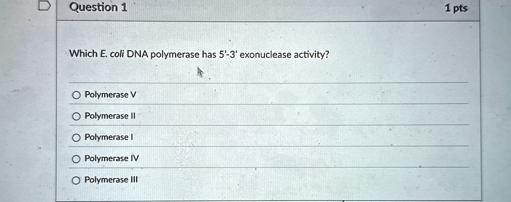 question 1 which e coli dna polymerase has 5 3 exonuclease activity