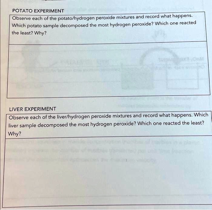 potato hydrogen peroxide enzyme experiment