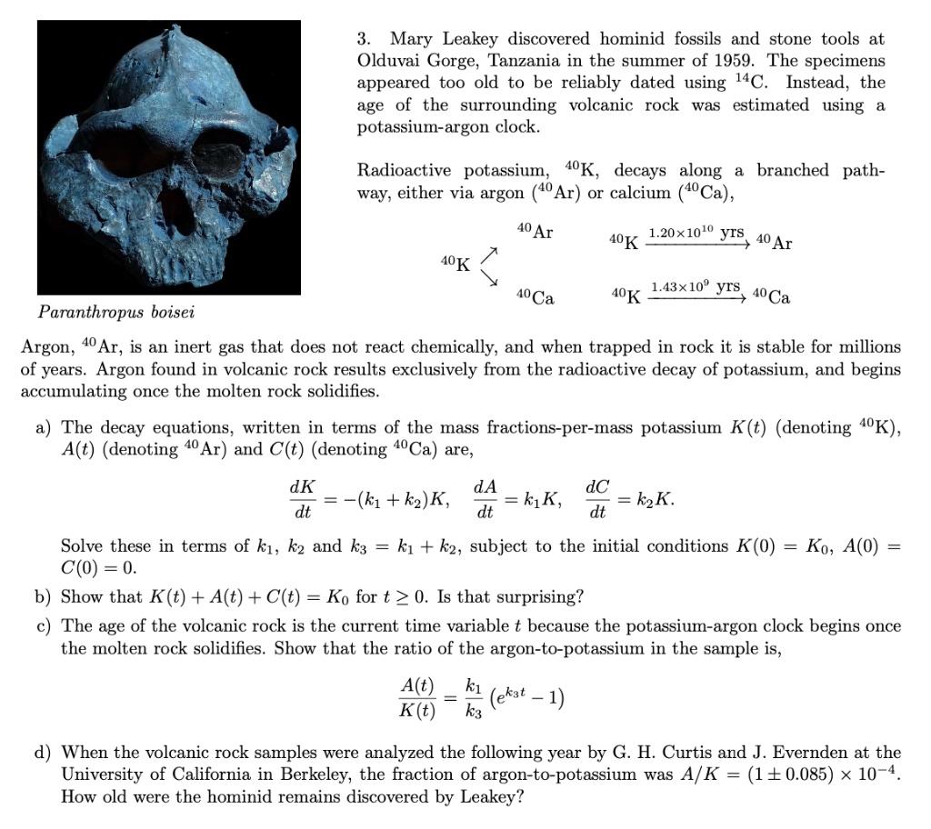 SOLVED Mary Leakey discovered hominid fossils and stone tools at