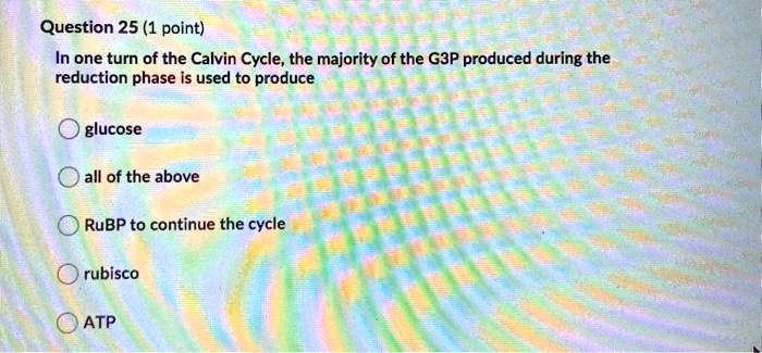 SOLVED: Question 25 (1 point) In one turn of the Calvin Cycle; the ...
