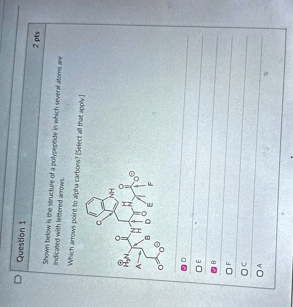 question 1 2 pts shown below is the structure of a polypeptide in which several atoms are indicated with lettered arrows which arrows point to alpha carbons select all that apply d oe b of o 11017