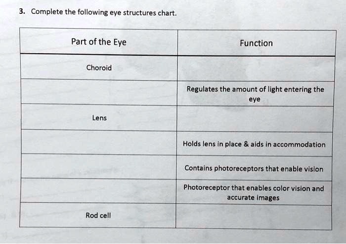3. Complete the following eye structures chart.

Part of the Eye | Function
Choroid |
| Regulates the amount of light entering the eye
Lens |
| Holds lens in place     aids in accommodation
| Contains photoreceptors that enable vision
| Photoreceptor that enables color vision and accurate images
Rod cell |