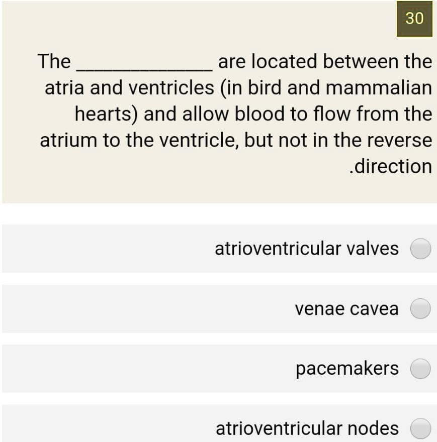 SOLVED 30 The are located between the atria and ventricles (in bird