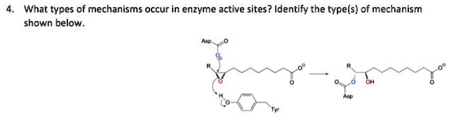 4. What types of mechanisms occur in enzyme active sites? Identify the ...