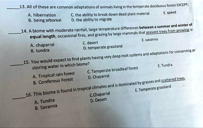 SOLVED: A. Hibernation B. Being Arboreal C. The Ability To Break Down ...