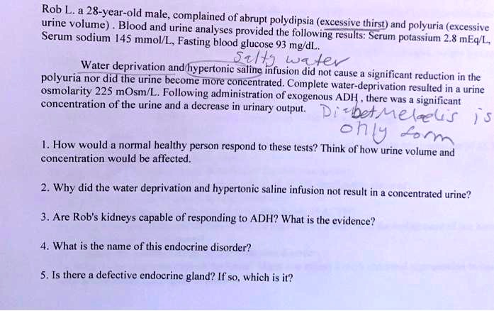 Rob L. a 28-year-old male, complained of abrupt polydipsia (excessive thirst) and polyuria (excessive urine volume) . Blood and urine analyses provided the following results: Serum potassium 2.8 mEq/L, Serum sodium 145 mmol/L, Fasting blood glucose 93 mg/dL. Water deprivation and hypertonic saline infusion did not cause a significant reduction in the polyuria nor did the urine become more concentrated. Complete water-deprivation resulted in a urine osmolarity 225 mOsm/L. Following administration of exogenous ADH, there was a significant concentration of the urine and a decrease in urinary output. 1. How would a normal healthy person respond to these tests? Think of how urine volume and concentration would be affected. 2. Why did the water deprivation and hypertonic saline infusion not result in a concentrated urine? 3. Are Rob's kidneys capable of responding to ADH? What is the evidence? 4. What is the name of this endocrine disorder? 5. Is there a defective endocrine gland? If so, which is it?