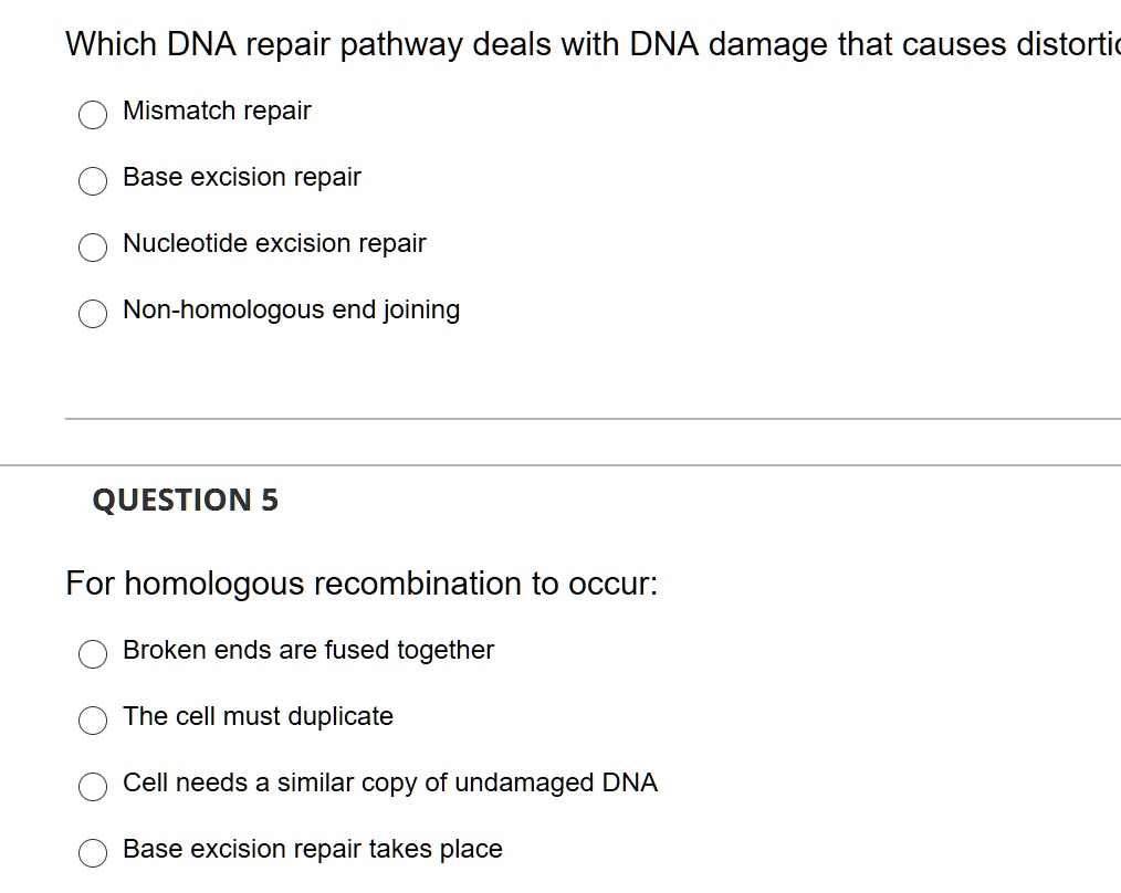 Which DNA repair pathway deals with DNA damage that causes distortion?
Mismatch repair
Base excision repair
Nucleotide excision repair
Non-homologous end joining
QUESTION 5
For homologous recombination to occur:
Broken ends are fused together
The cell must duplicate
Cell needs a similar copy of undamaged DNA
Base excision repair takes place