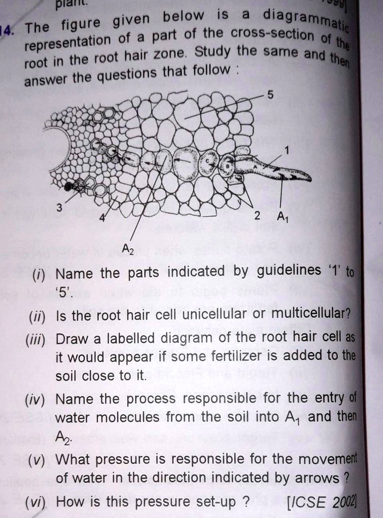 plar 14. The figure given below is a diagrammatic representation of a ...